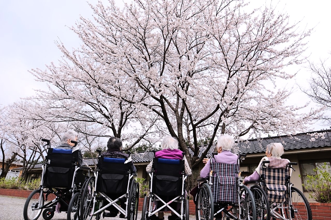 苑の桜も満開に…　お花見を行いました。