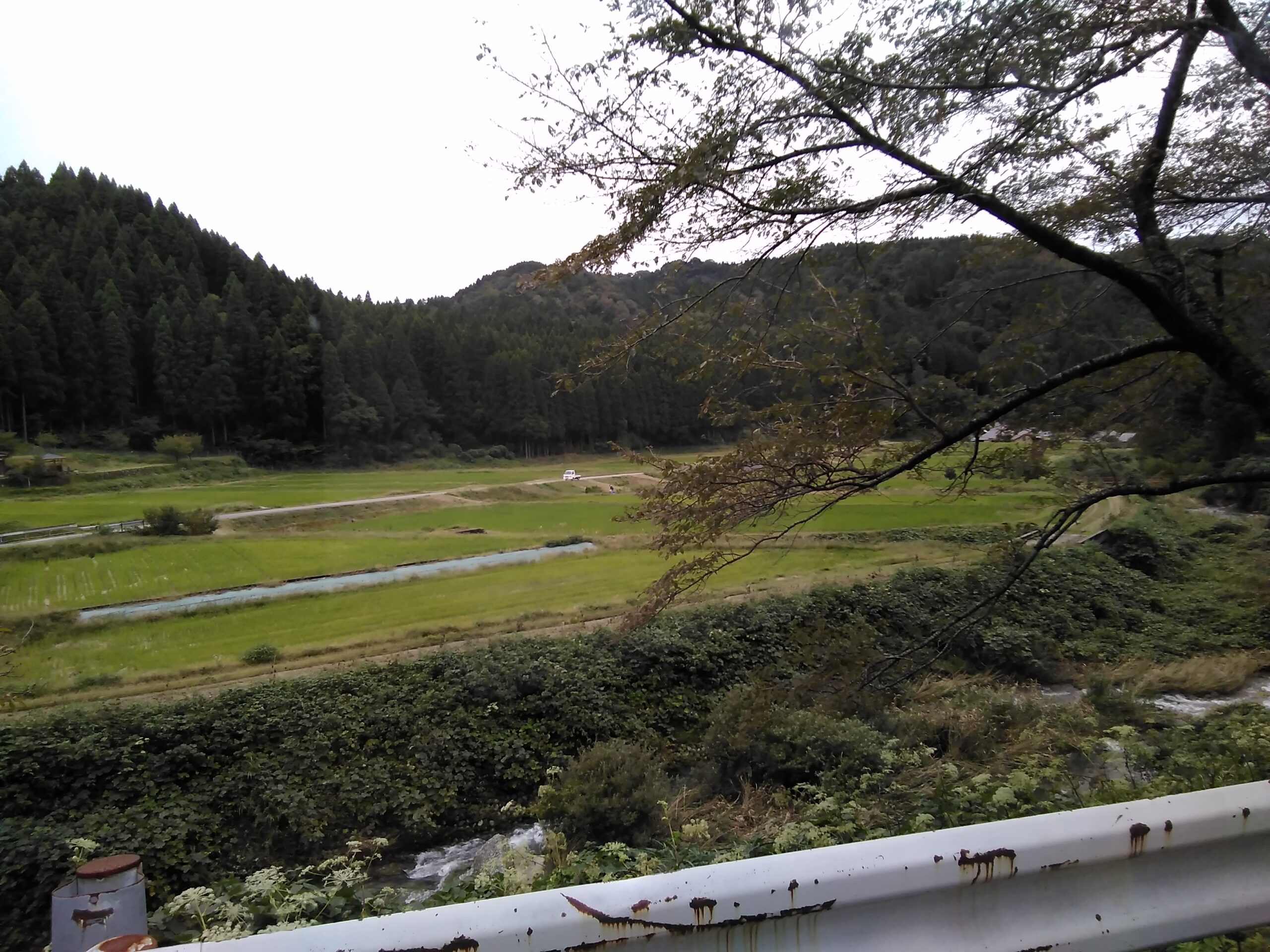 ドライブ